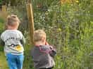 Searching for wildlife