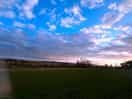 Sunset and lambs