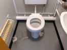 Filthy toilets