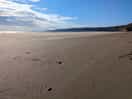 White sand beach