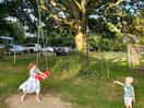 Tree swings
