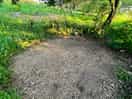 Where i pitched my tent.