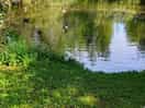 Rustgevende plek