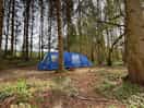 Woodland pitch