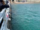 Crabbing on the pier