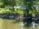 The river which runs next to the campsite