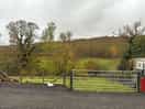 View from the van