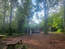 Natural environment