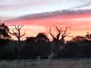 Beautiful sunset