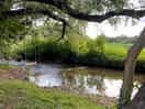 Swing of the shallow stream, perfect for children to play in