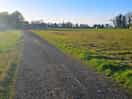 Walk nearby