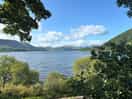 Campsite view
