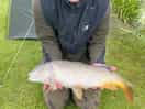 1 of many caught