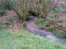 View of the stream from our decking