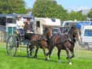 Pembrokeshire show
