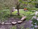 Looking down on the stream