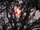 Great sunsets