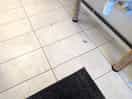 Toilet floor
