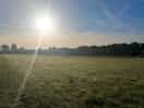 September sunshine