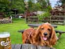 Wilson even enjoyed the beer garden.