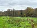 Walk in the country