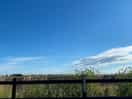 Views