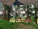 Seating area in woodland.