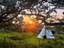 Sunrise in the morning
