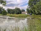 The house and lake