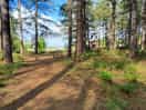Walk