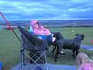 Relaxing evening