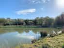 Haven for wildlife around lake