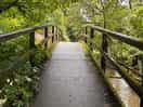 Walk