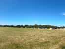 Panorama of second field