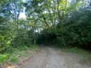 Way to the farm