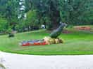 Paon jardin municipal
