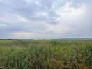 View from our caravan over to the coast