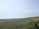 View from the site
