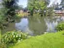 The other pond
