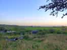 Beaut view