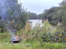 Great to see so many bat's in the evening and had a visit from a heron in the morning