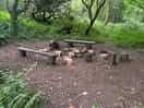Camp fire in the wooded area