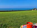 What a view