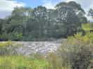 Next to the river