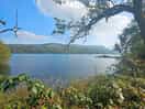 View of the lake from the campsite