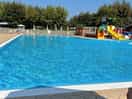 The pool