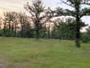 Site grounds