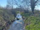 River view