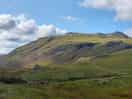 Local area
