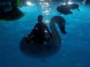 Noche de fiesta en la piscina
